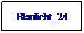 Textfeld: Blaulicht_24
